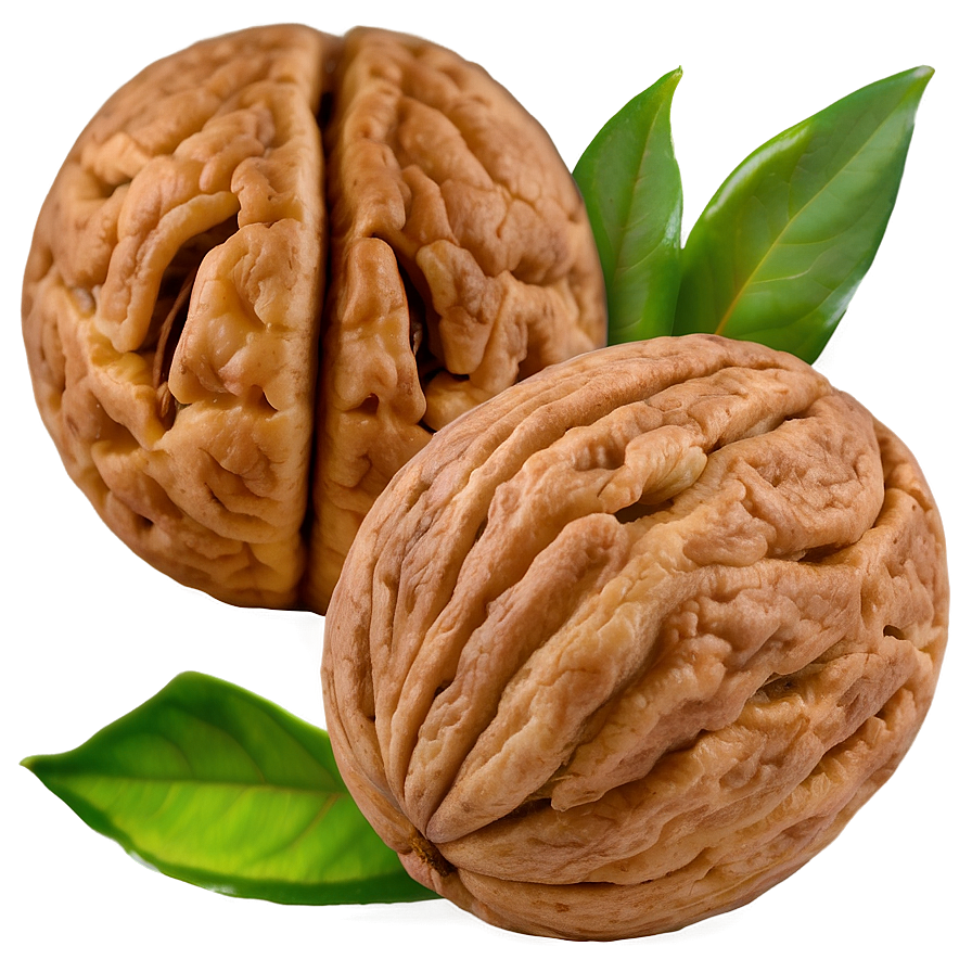 Ground Walnut Png 06122024