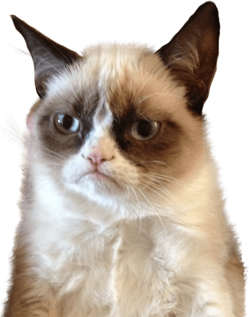 Grumpy Cat Upset - Let Me Think About It Meme, HD Png Download PNG with transparent background