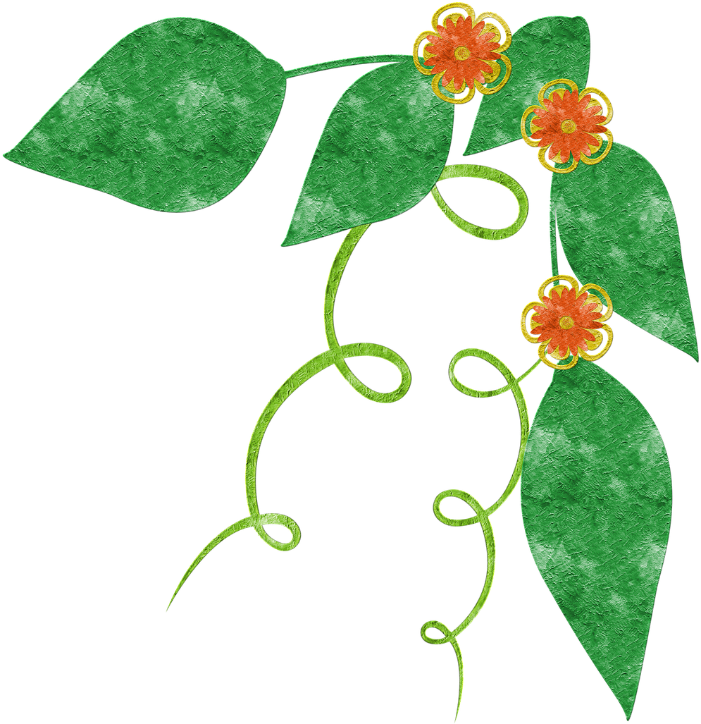 Grunge Floral Vine Illustration PNG with transparent background