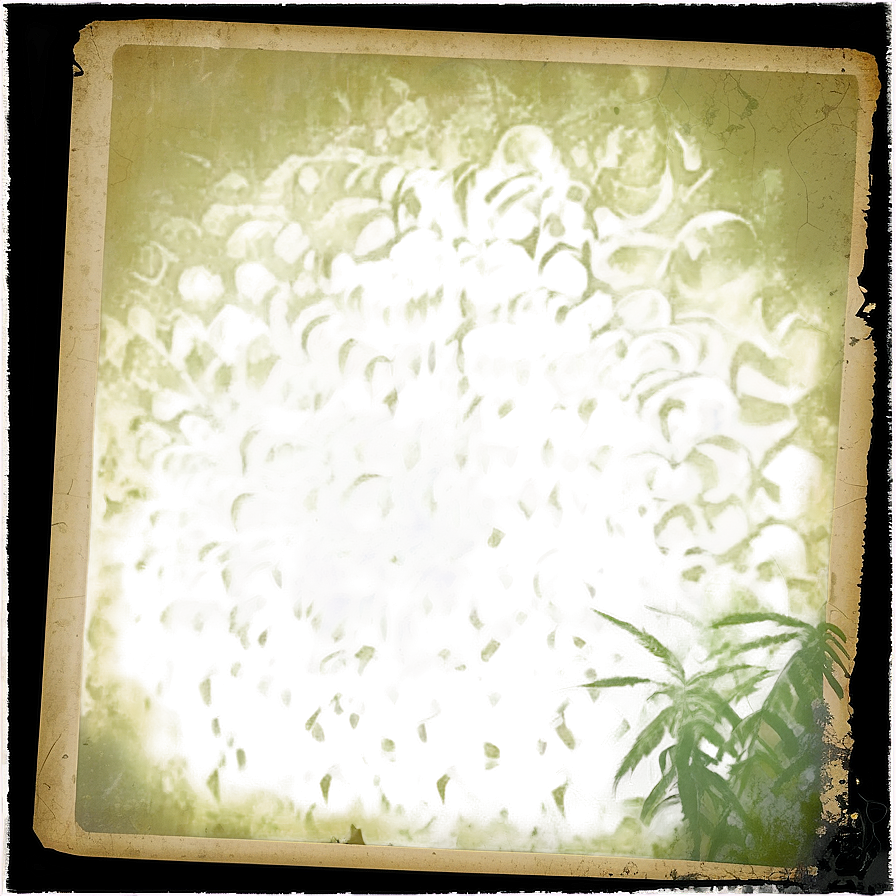 Grunge Polaroid Film Texture Png Kxq