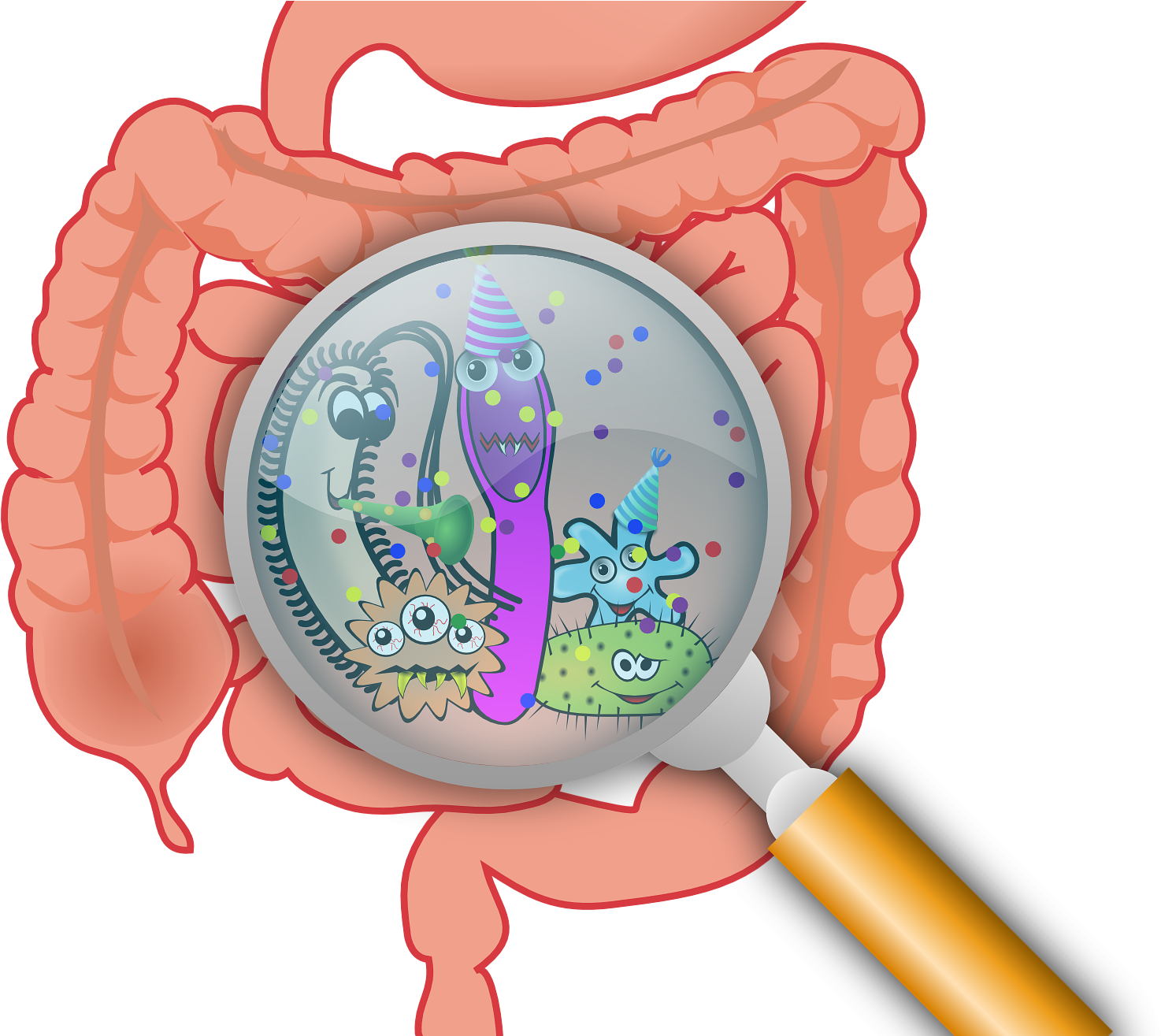 Researchers Find Bacteria Residing In Guts Of Mice - Intestinal Bacteria, HD Png Download PNG with transparent background