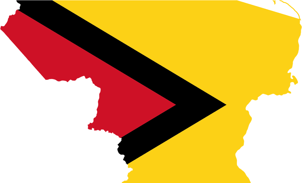 Guyana Flag Map