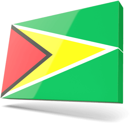 Guyana National Flag Graphic