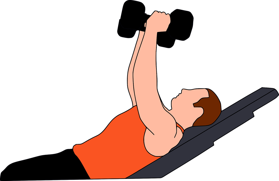 Gym Weightlifting Exercise Clipart