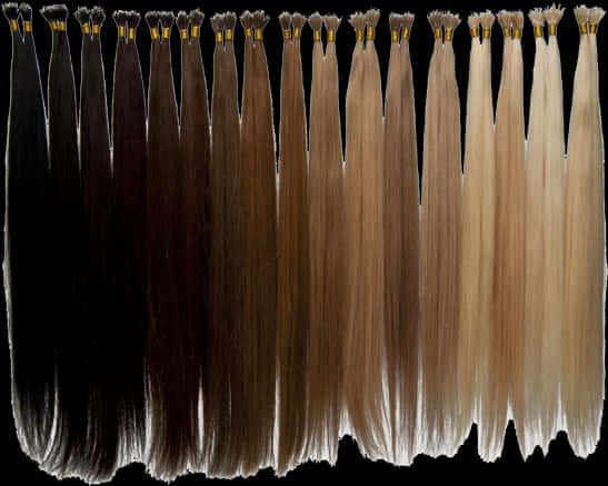 Hair Extensions Color Chart PNG with transparent background