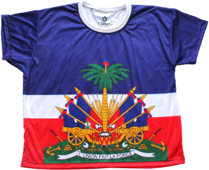 Haitian Flag Printed Crop Top