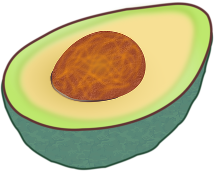 Half Avocadowith Pit PNG with transparent background