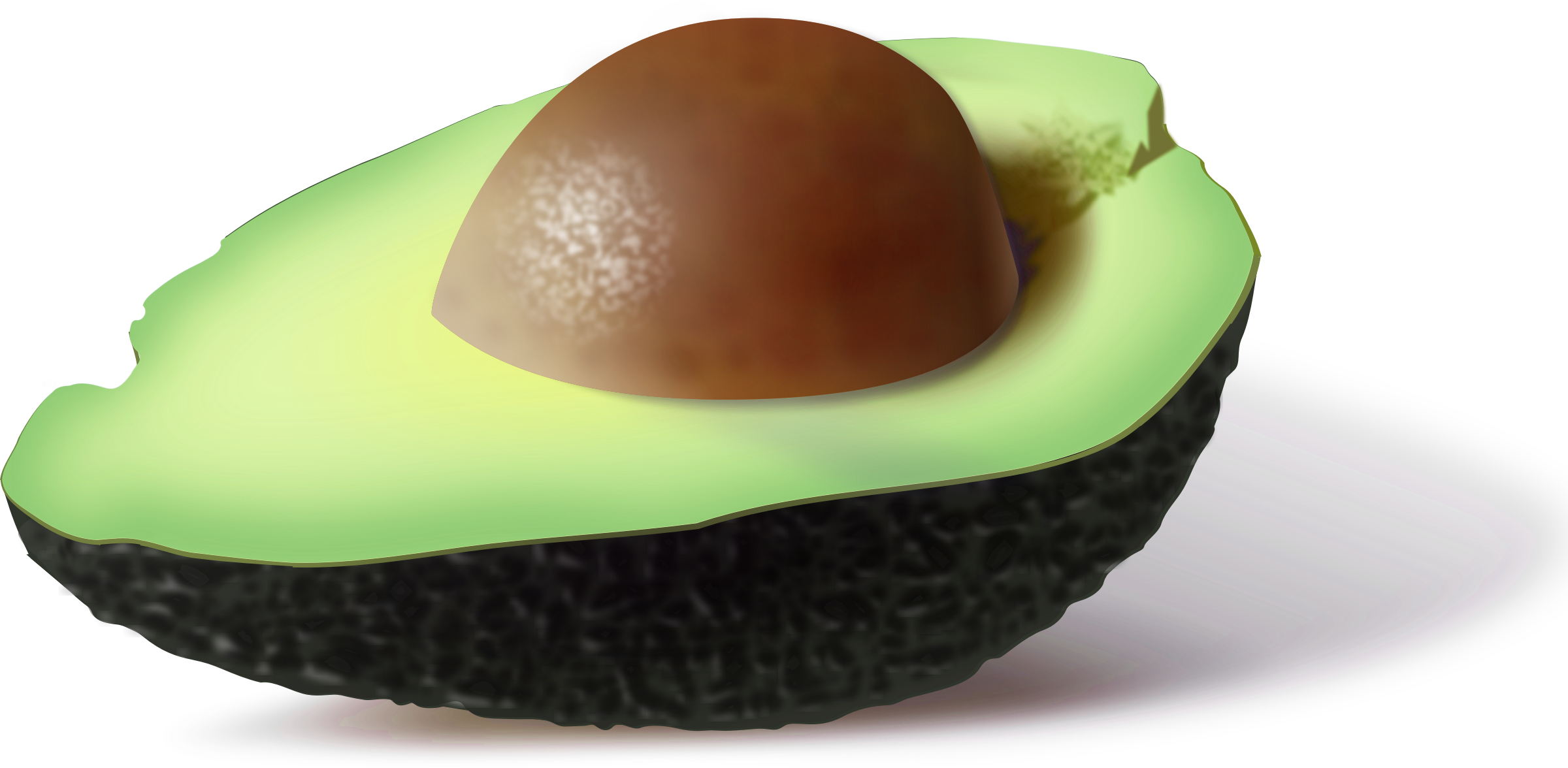 Avocado Png Image - 5 Fun Facts About Avocados, Transparent Png PNG with transparent background