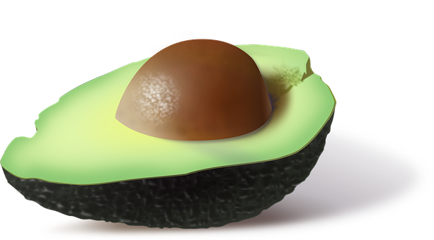 Half Avocadowith Piton Black Background PNG with transparent background
