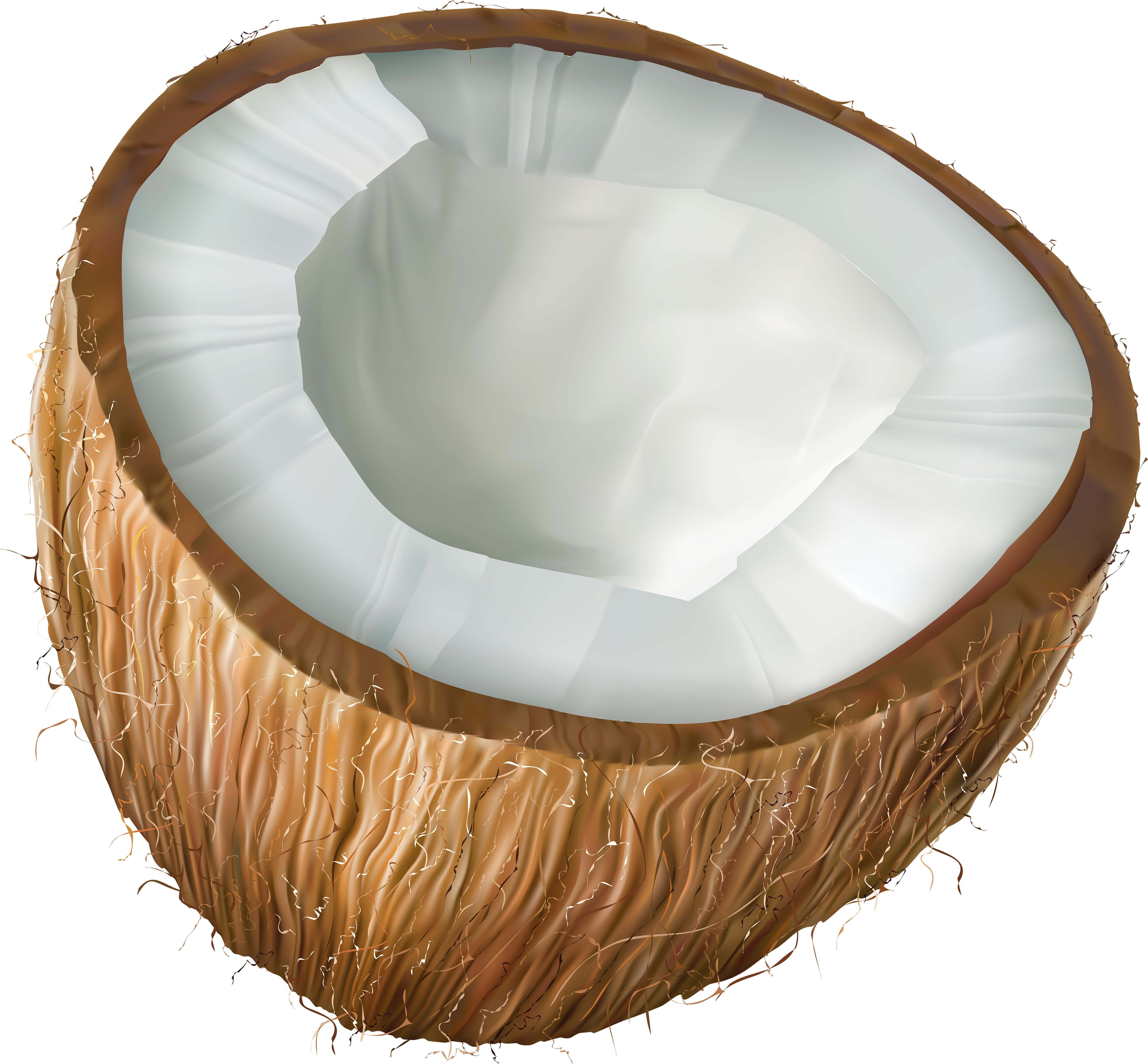 Coconut Clipart Transparent Background, HD Png Download PNG with transparent background