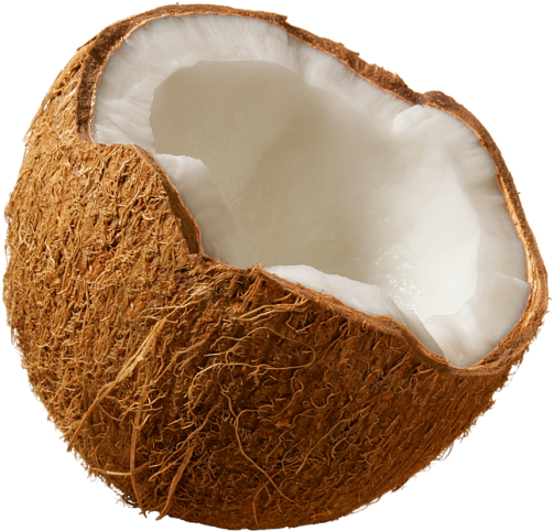 Half Open Coconutwith White Flesh