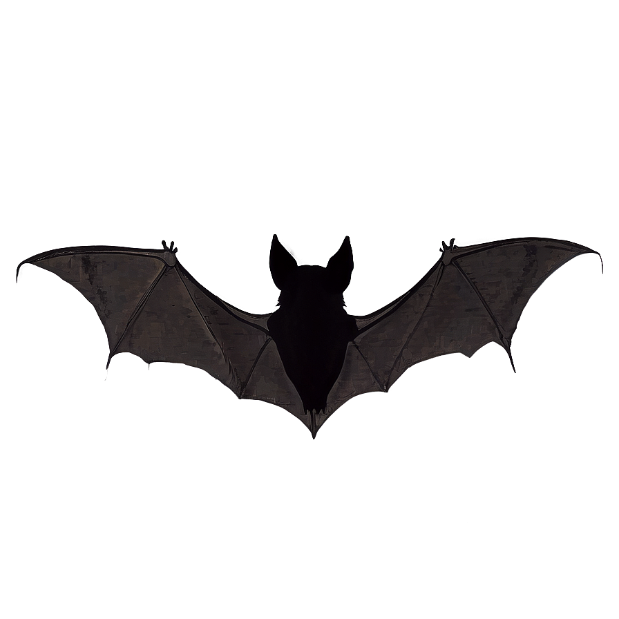 Halloween Bat Silhouette PNG dtg97 PNG with transparent background