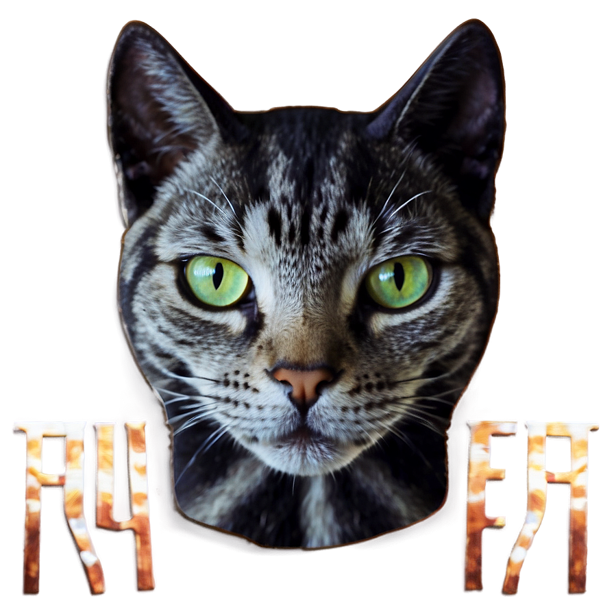 Halloween Cat Filter Png Wxl