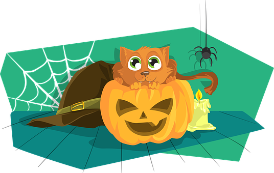Halloween Catin Pumpkin Cartoon PNG with transparent background