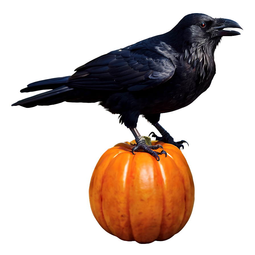 Halloween Crow Png 05232024