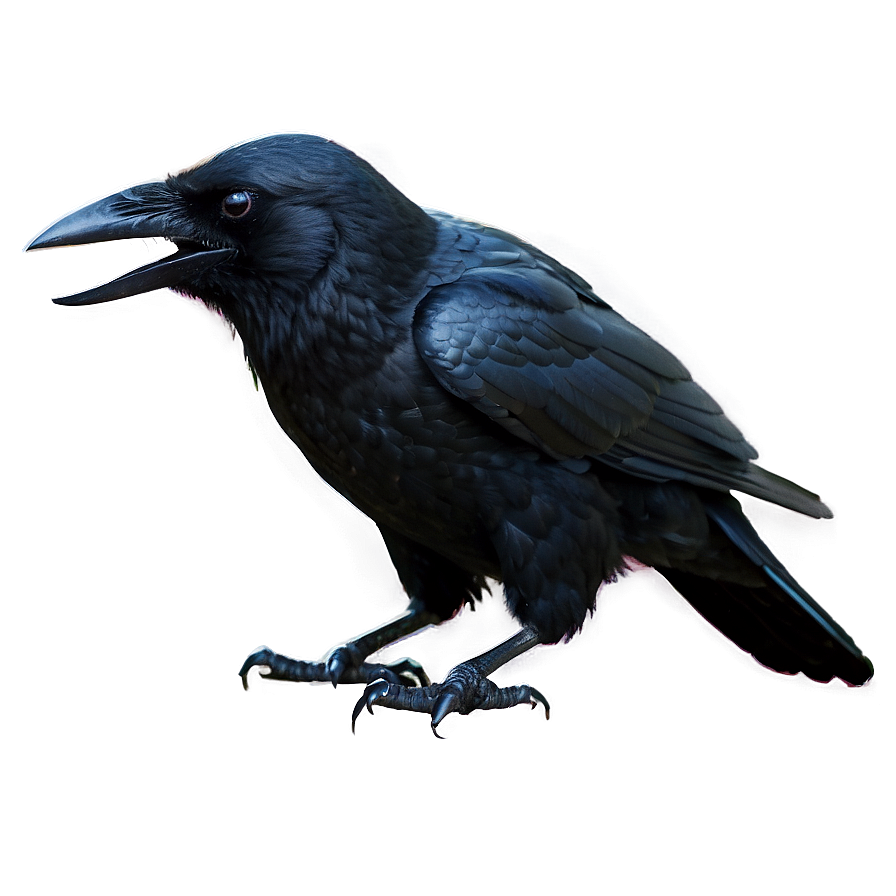 Halloween Crow Png 20