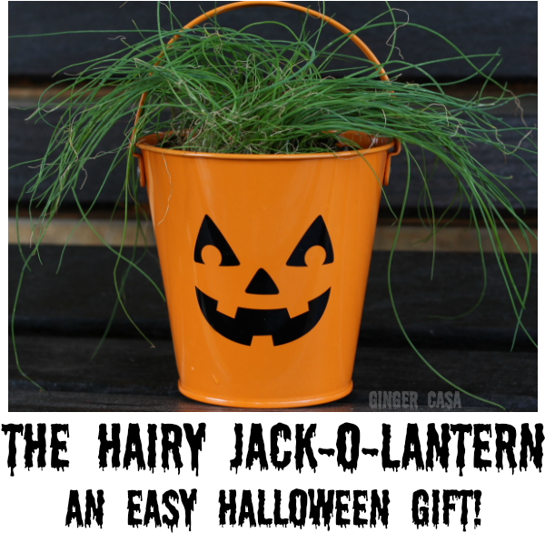 Halloween Plant Pot Jack O Lantern PNG with transparent background