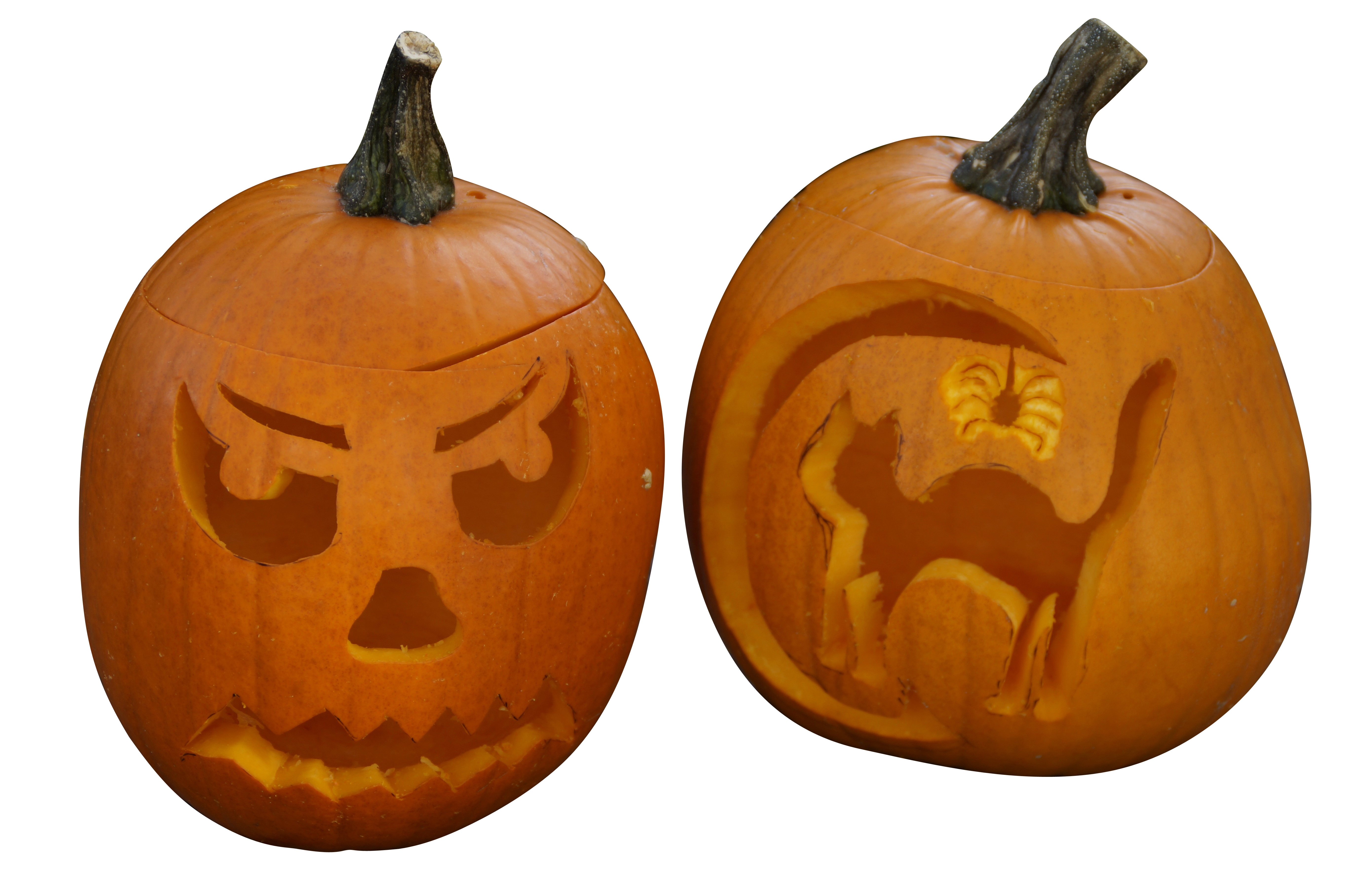 Halloween Pumpkins Carved Faces Catand Scary PNG with transparent background