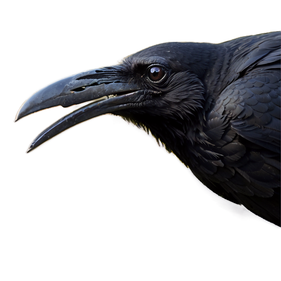 Halloween Raven Png Ycm33