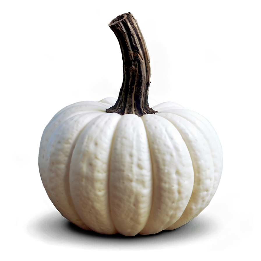 Halloween White Pumpkin Png Arb