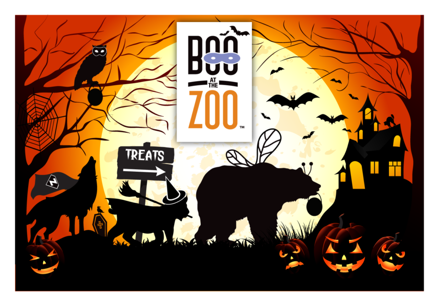 Halloween Zoo Event Poster