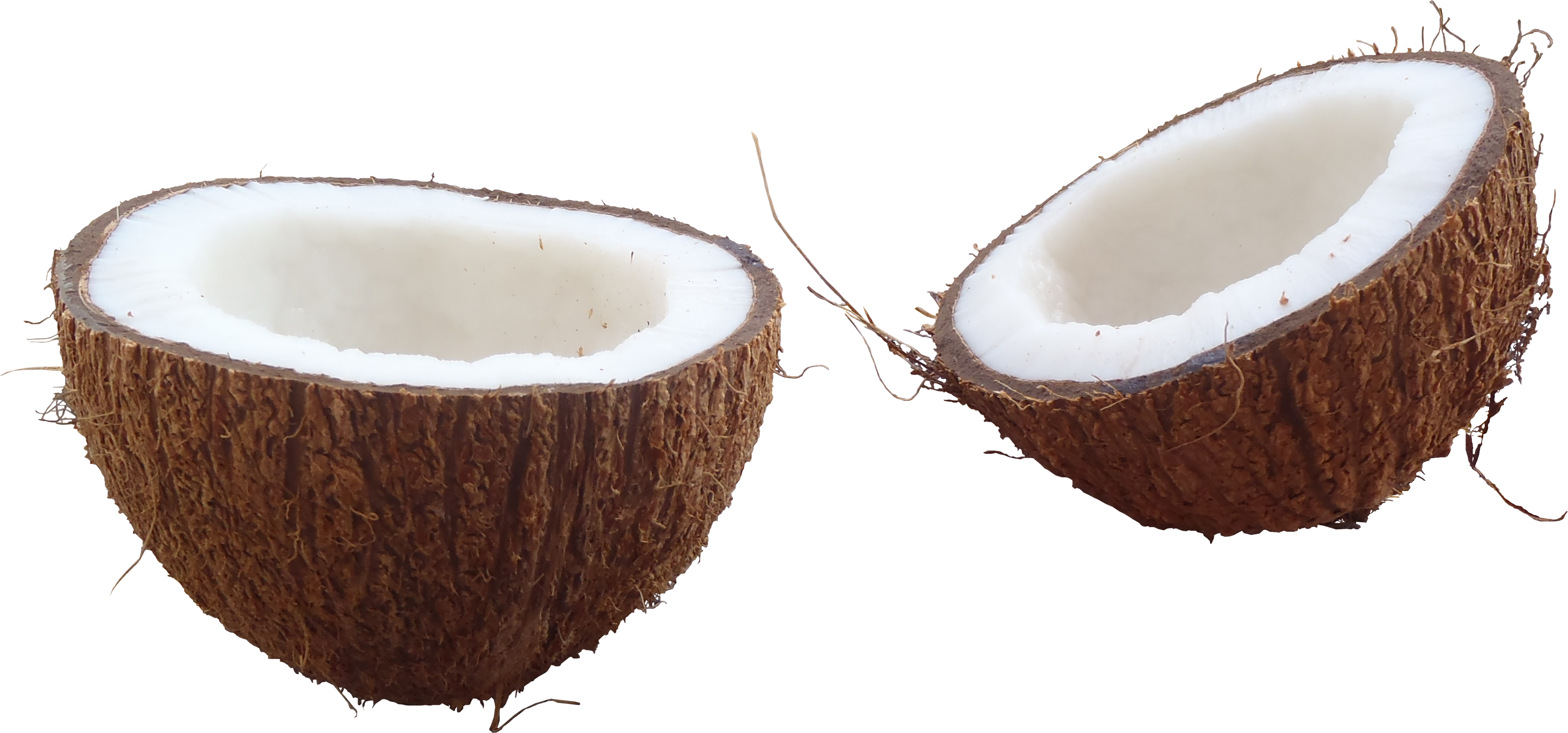 Download Coconut Png Hd - Half Coconut Png, Transparent Png PNG with transparent background