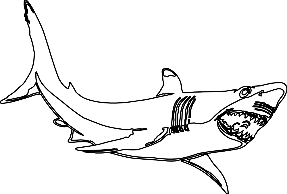 Clipart Shark Black And White - Great White Shark Clipart Black And White PNG with transparent background