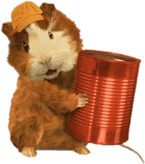 Hamster With Can And Cap.png