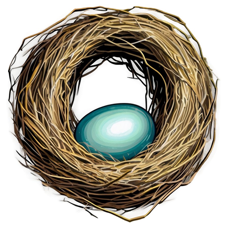 Hand Drawn Bird Nest Png 06212024