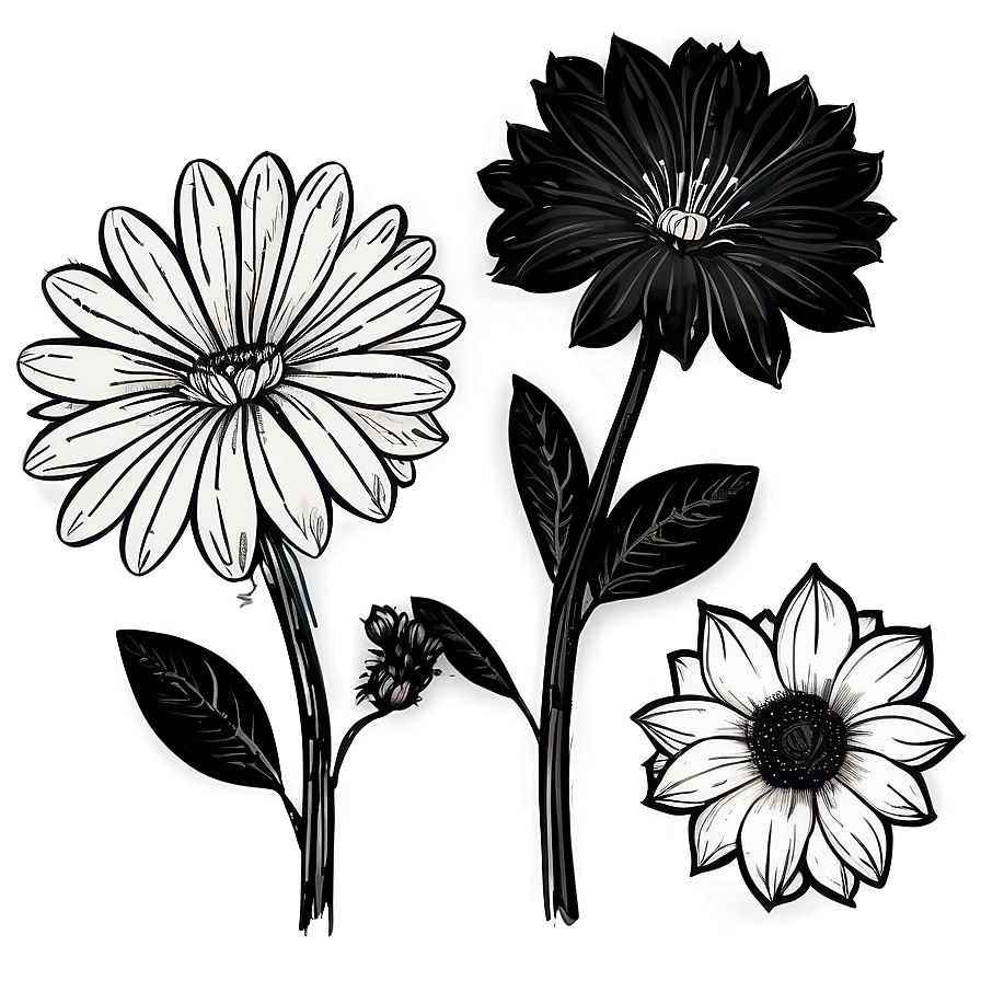 Hand Drawn Black White Flowers Png Rmb77