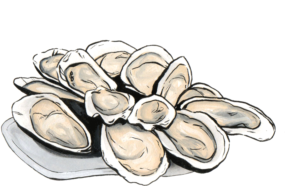 Hand Drawn Clams Illustration