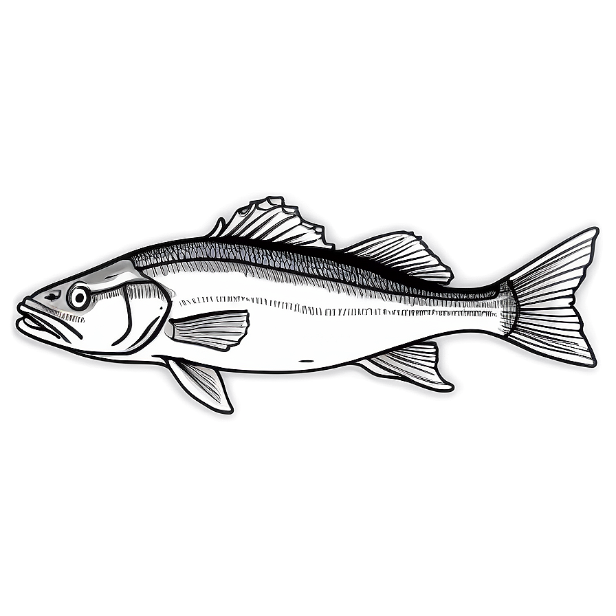 Hand-drawn Cod Fish Png 9