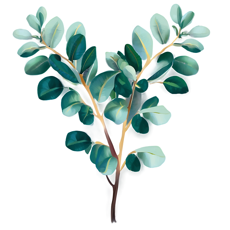 Hand Drawn Eucalyptus PNG ism PNG image with a transparent background, free high-resolution download