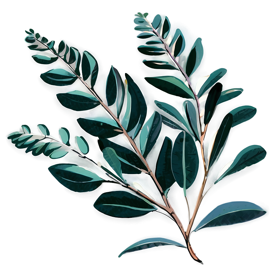 Hand Drawn Eucalyptus PNG vry34 PNG image with a transparent background, free high-resolution download