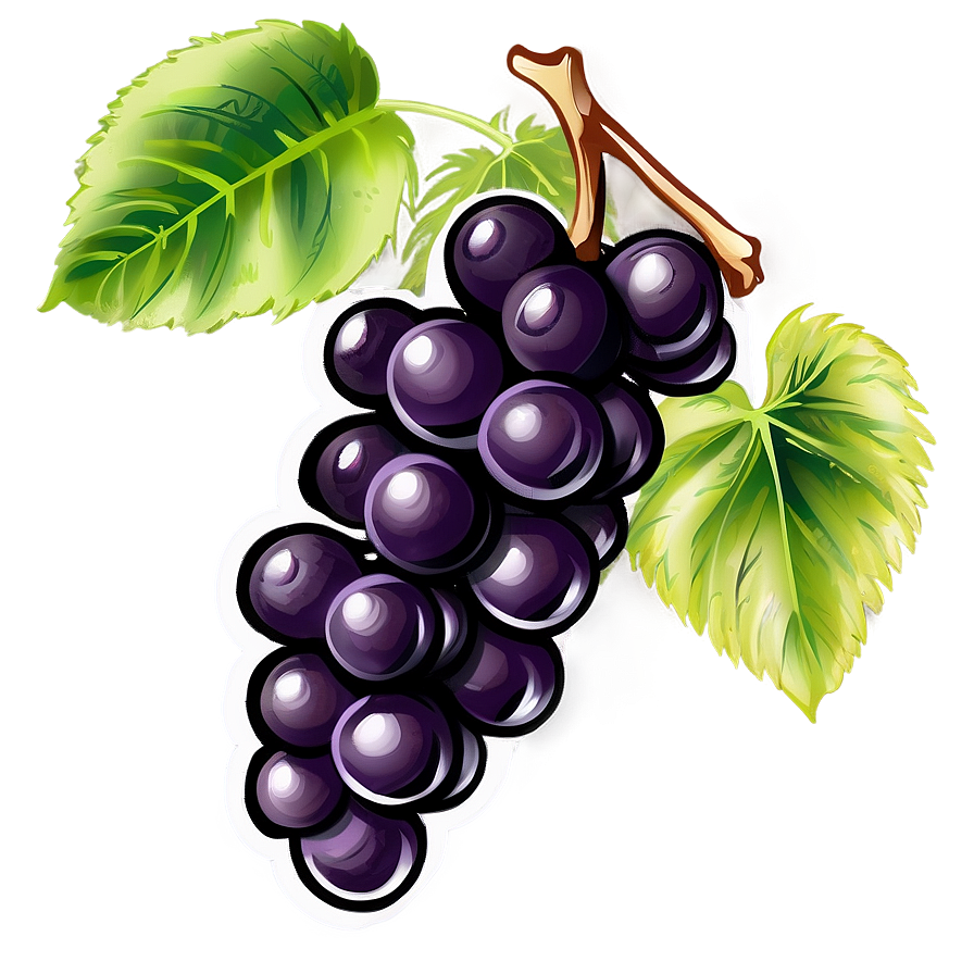 Hand Drawn Grapes Png Vib79