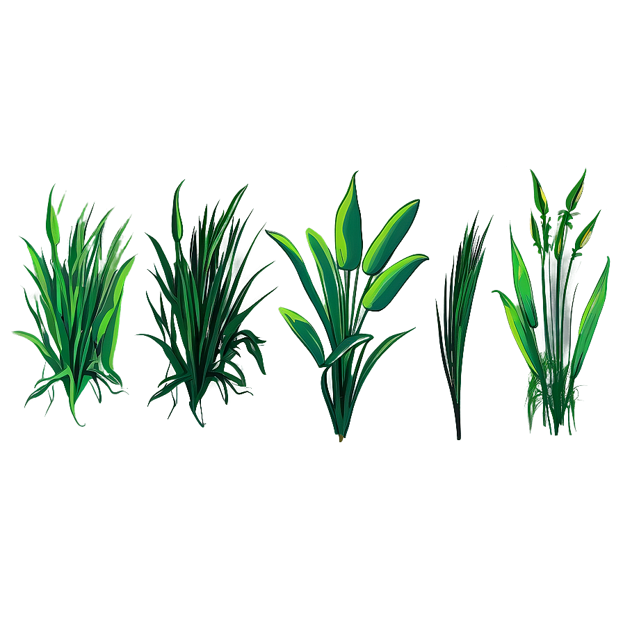 Hand Drawn Grass Clipart Png Evu35