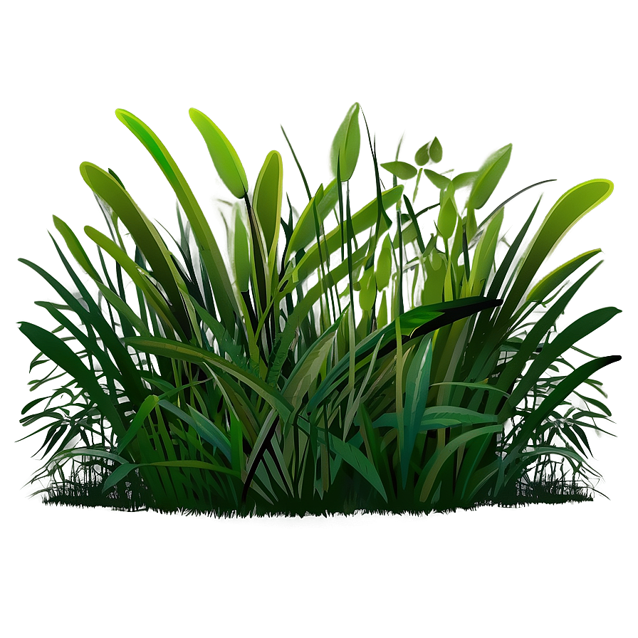 Hand-drawn Grass Illustration Png 04292024