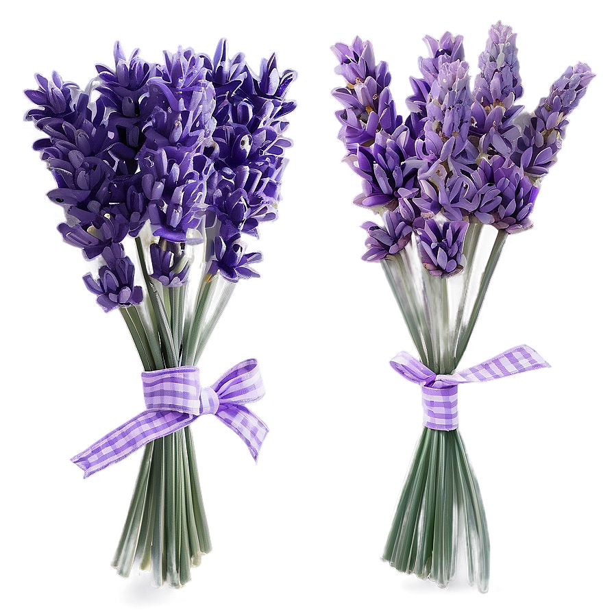 Hand Drawn Lavender Bouquet Png 05062024