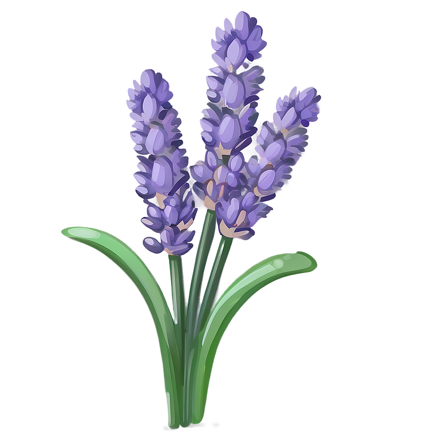 Hand Drawn Lavender Bouquet Png 92