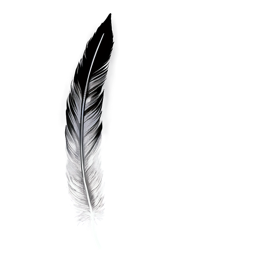 Hand-drawn Mono Feather Png 06242024