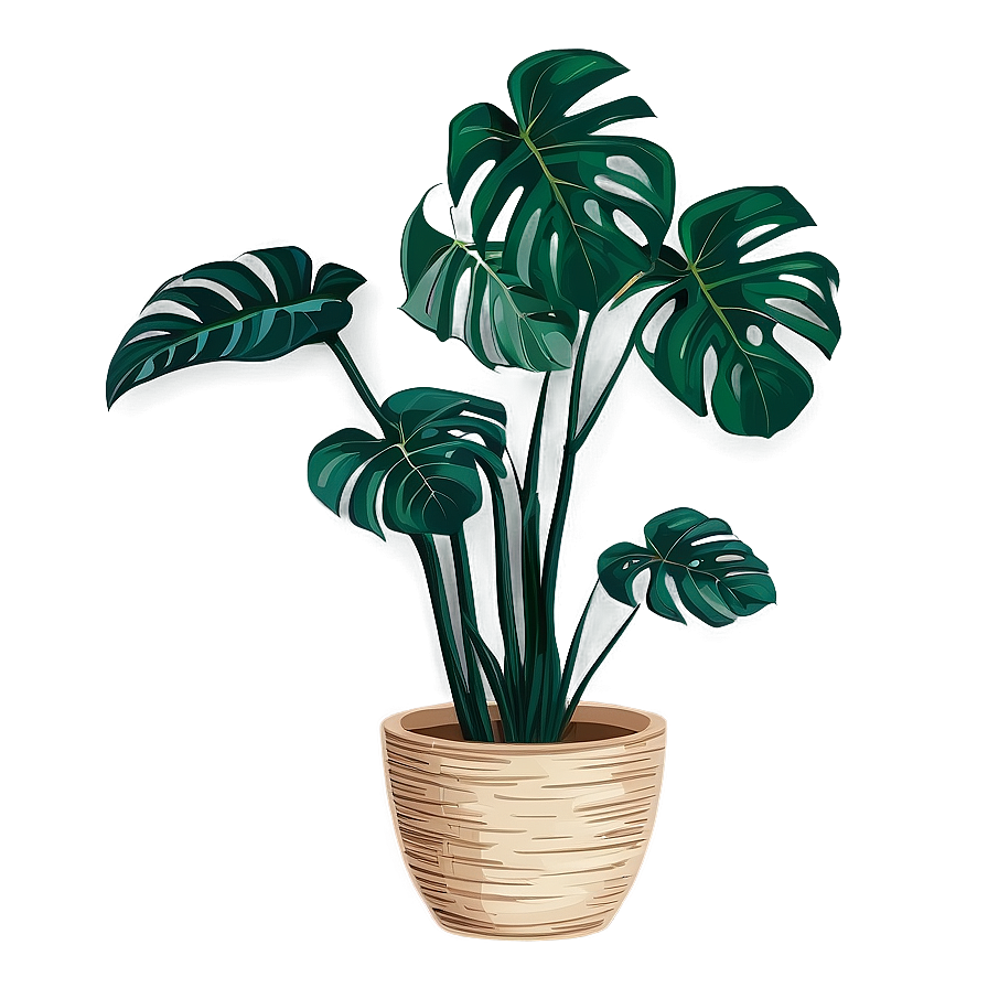 Hand Drawn Monstera Png Lml34