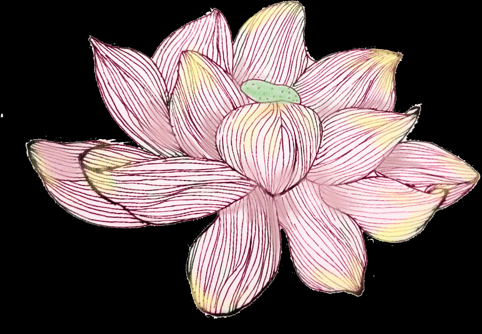 Hand Painted Writing Poetry Watercolor Lotus Png And - Lotus Watercolor Png, Transparent Png PNG with transparent background