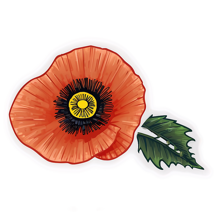 Hand-Drawn Poppy Sketch PNG ejg66 PNG with transparent background