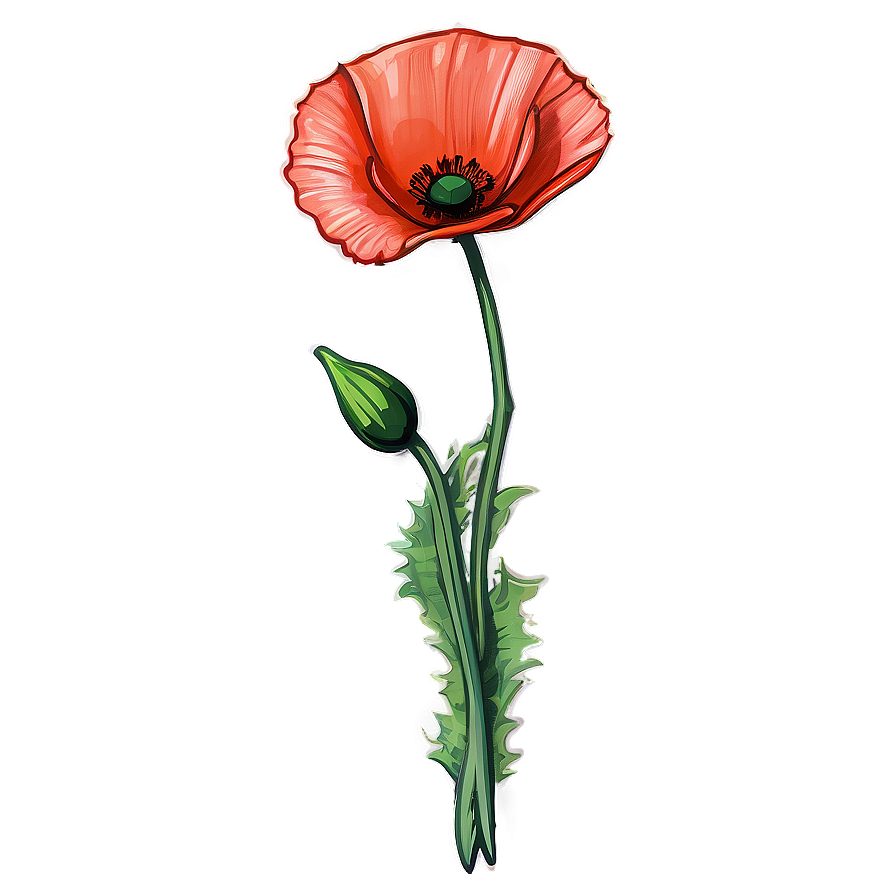 Hand-Drawn Poppy Sketch PNG msp PNG with transparent background