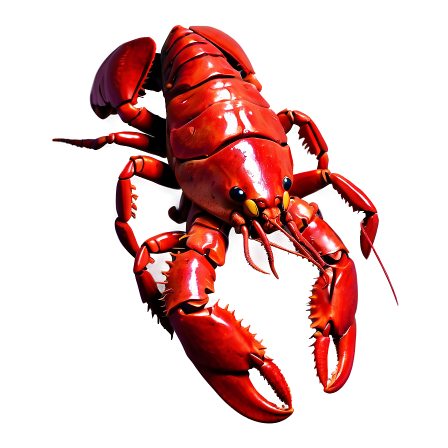 Hand-drawn Red Lobster Png 33