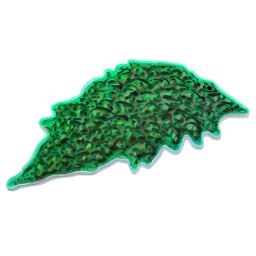 Hand-drawn Seaweed Sketch Png 93