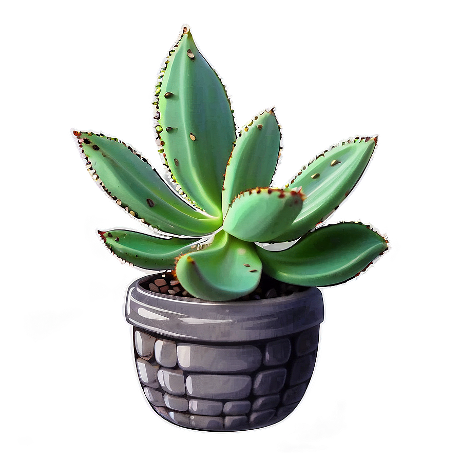 Hand Drawn Succulent Png Hfm