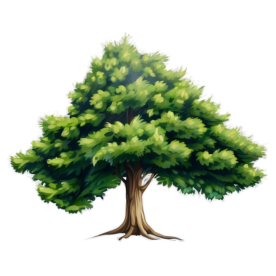 Hand Drawn Tree Elevation Png 85