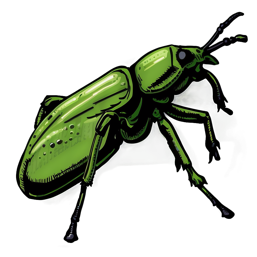 Hand-drawn Weevil Png Ggv