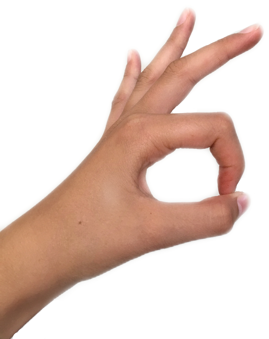 Hand Gesture O K Sign.png